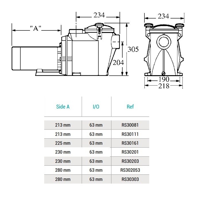 Насос Hayward RS II RS30111 (220В, 1HP) фото 2