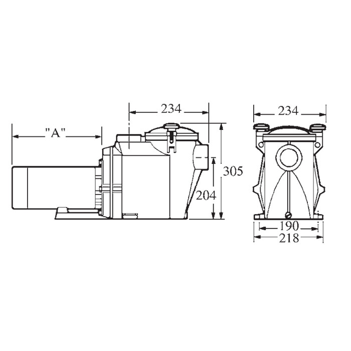 Насос Hayward RS II RS301620VSTD (220V, 2HP) фото 4