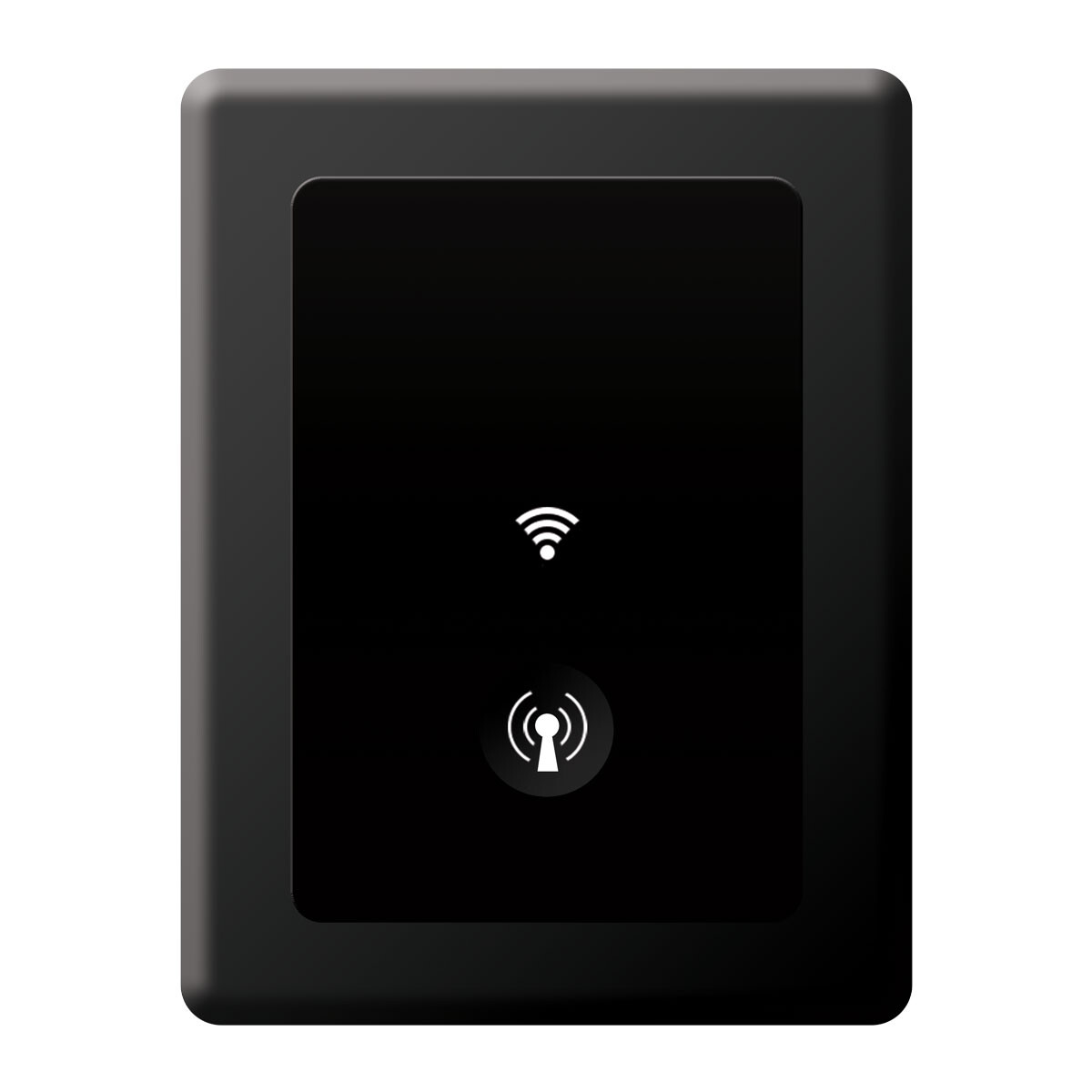 Модуль WiFi Fairland фото 2